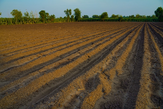 Campo arado. Agricultura, solo antes da semeadura. Textura de terra fértil, paisagem de campo rural.