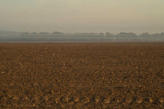 Campo arado após a colheita no nevoeiro na manhã de outono