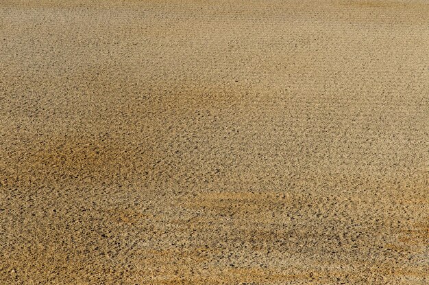 Campo arado cereales sembrados Campo arado en primavera Campo arado de suelo negro Campo arado Textura de la tierra Fondo rústico