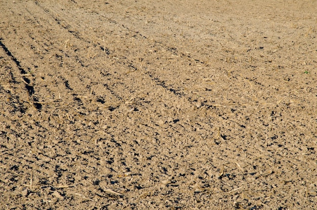 Campo arado cereales sembrados Campo arado en primavera Campo arado de suelo negro Campo arado Textura de la tierra Fondo rústico