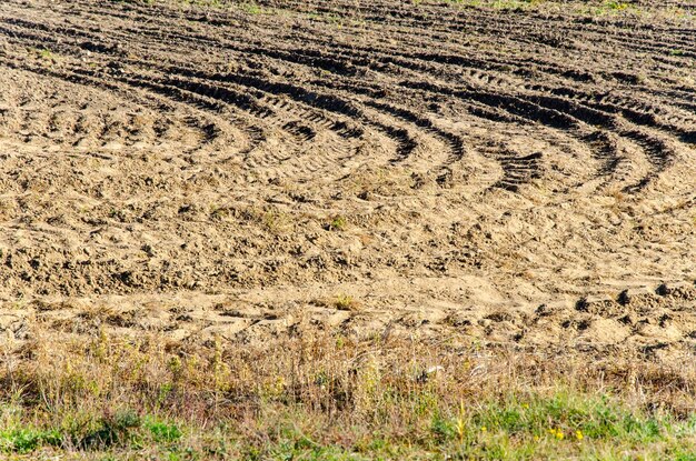 Campo arado cereales sembrados Campo arado en primavera Campo arado de suelo negro