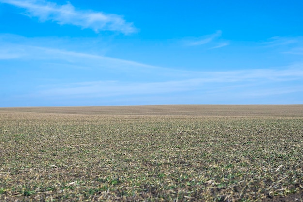 Campo arado y cielo azul como fondo