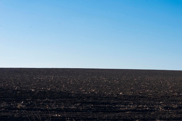 Campo arado y cielo azul como fondo