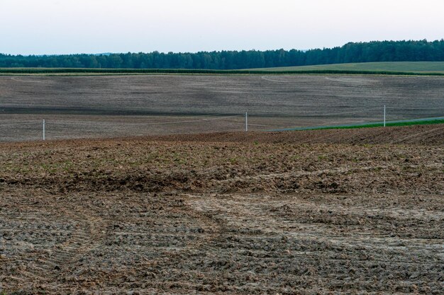 Un campo arado contra el cielo La temporada de plantación de cultivos en un campo de trigo Preparación del campo para la siembra de colza trigo centeno y cebada en zonas rurales