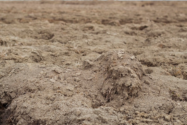 campo arado después de la cosecha como fondo del suelo