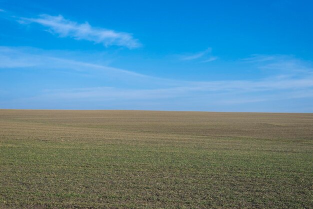 Campo arado e céu azul como pano de fundo