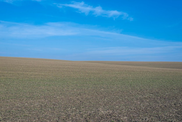 Campo arado e céu azul como pano de fundo