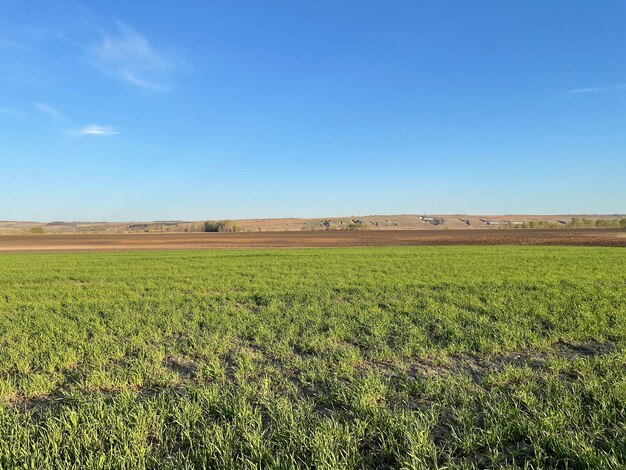 Campo arado grama verde e céu azul