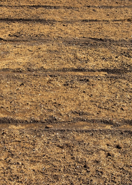 Campo arado con huellas a la vista