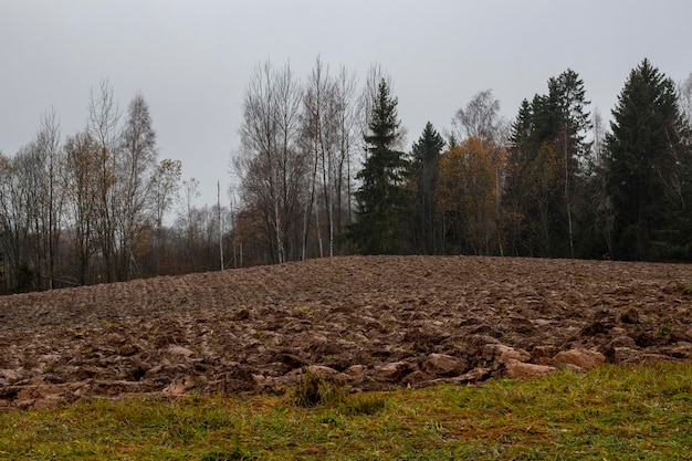 Campo arado na Letônia no outono