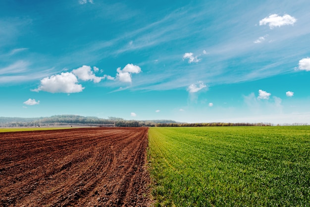 Campo arado en primavera con el cielo azul.