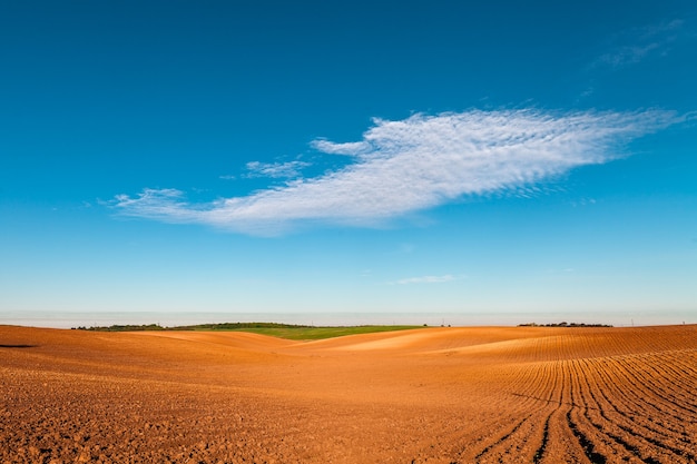 Campo arado en primavera con cielo azul.