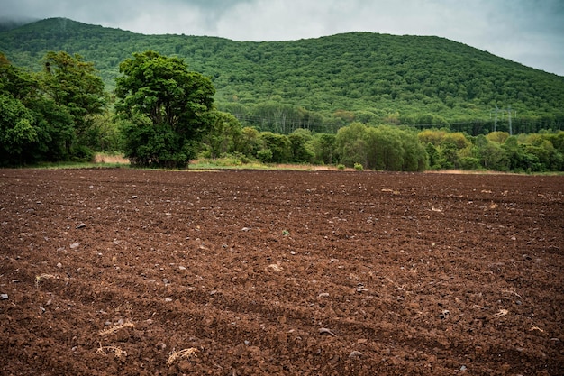 Un campo arado para sembrar hortalizas. Un campo de tierra negra contra el fondo de las montañas.