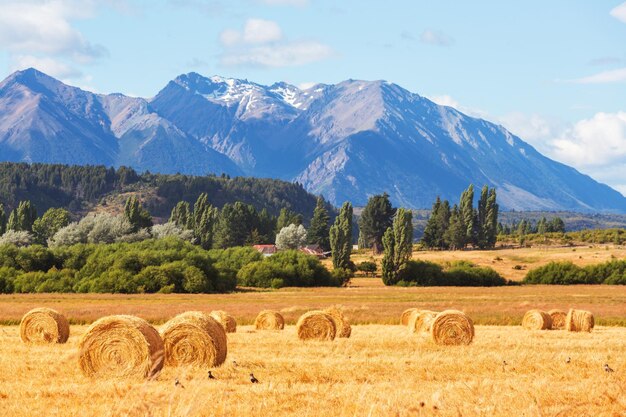 Campo en Argentina