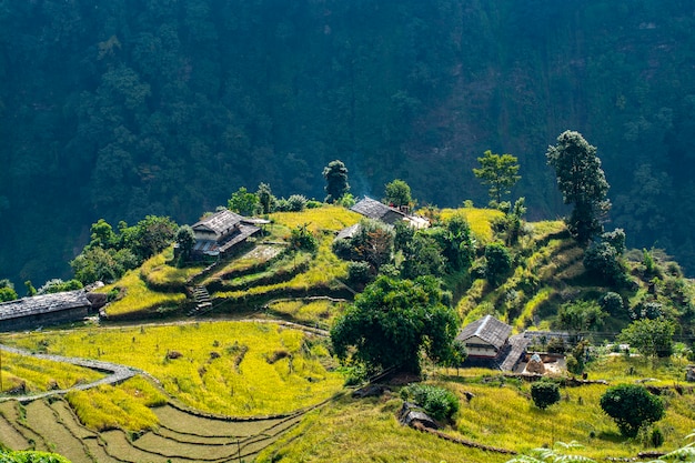 Campo de arroz con casas en la colina, Annapurna Conservation Area, Nepal