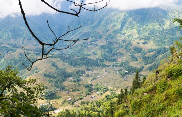 Campo de arroz colgante después de la cosecha en la montaña en Sapa, Vietnam