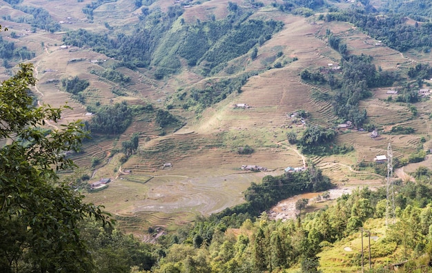 Campo de arroz colgante después de la cosecha en la montaña en Sapa, Vietnam