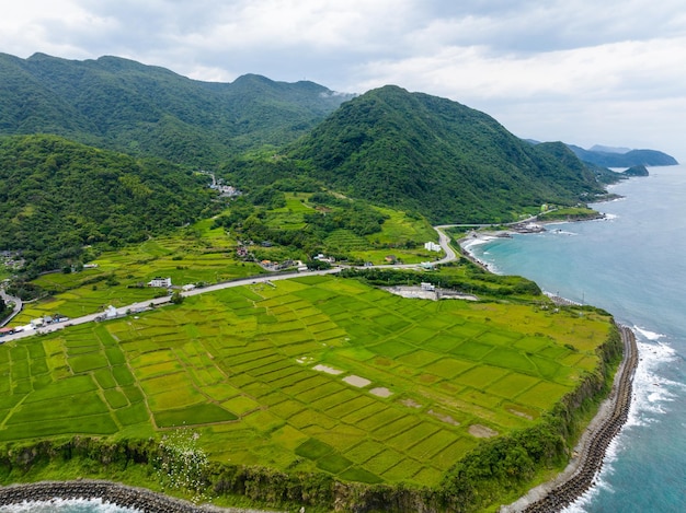 Campo de arroz de Taiwan Hualien sobre el mar en el municipio de Fengbin Shitiping Plana costera de escalones de piedra