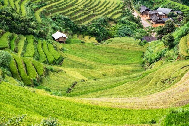 Campo de arroz en terrazas con el hito de la aldea de la tribu de Mu Cang Chai