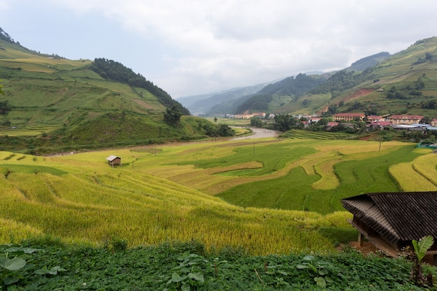 Campo de arroz en terrazas paisaje de Mu Cang Chai, Yenbai, Vietnam del Norte