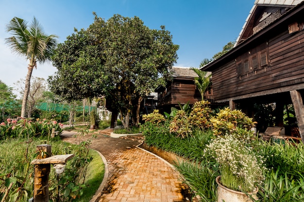 Campo de arroz verde en la villa, Tailandia