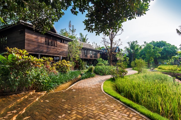 Campo de arroz verde en la villa, Tailandia