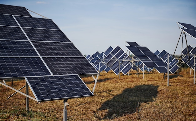 Campo con baterías solares durante el día soleado. Concepción de ecología y combustible.