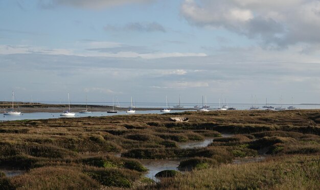 Campo calmo e pacífico com um canal lateral em essex, inglaterra