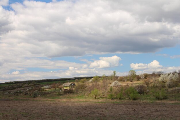 Foto un campo con un camión y un cielo con nubes