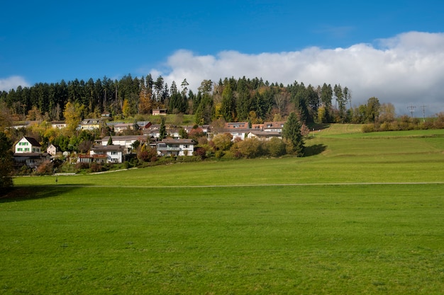 Campo de campo con cielo azul