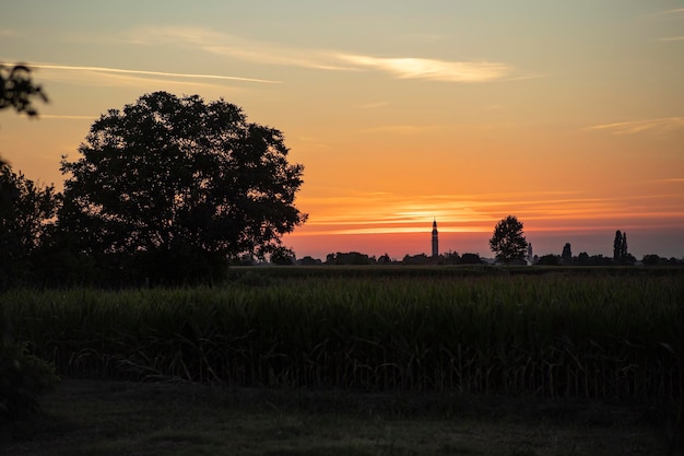 Campo de campo de paisaje de puesta de sol naranja