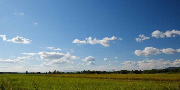 Campo y campos de arroz en el día azul índigo. Nubes blancas flotando sobre las montañas