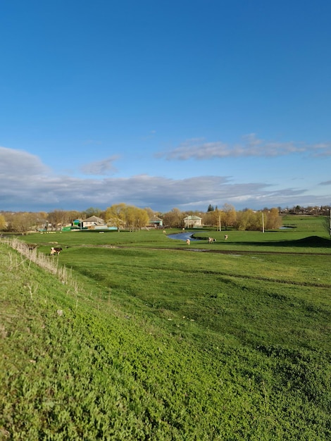 Un campo con una casa al fondo.