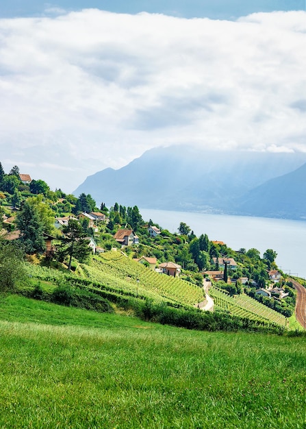 Campo cerca de la ruta de senderismo Lavaux Vineyard Terrace, el lago de Ginebra y las montañas suizas, distrito de Lavaux-Oron, Suiza