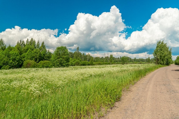 Campo cielo azul con hermosas nubes