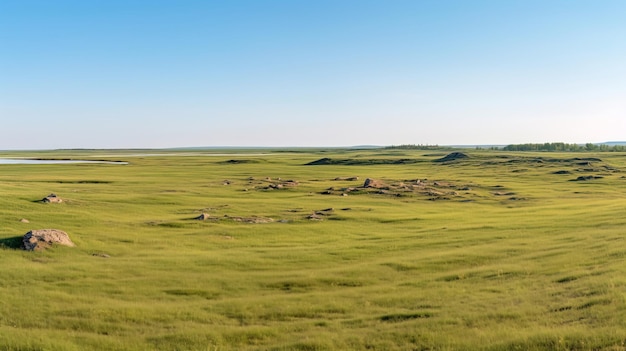 un campo con un cielo azul y hierba verde