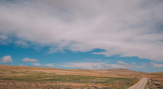 Un campo con un cielo azul y una nube blanca.