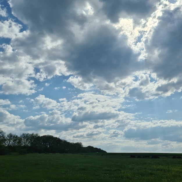 Un campo con un cielo azul y nubes.