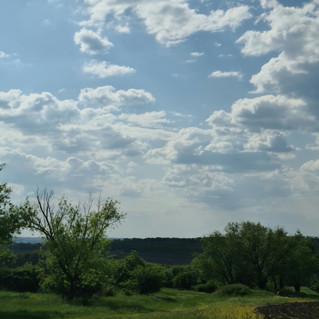 Un campo con un cielo azul y nubes.