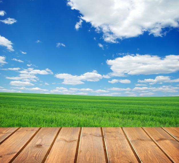 Campo bajo cielo azul Piso de tablones de madera