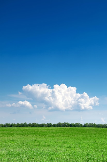 Campo y cielo azul