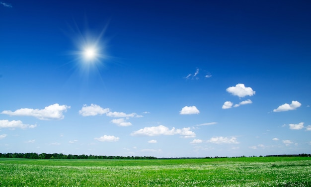 Campo y cielo azul