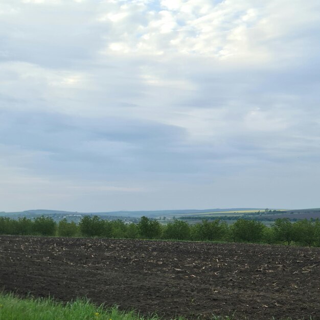 Un campo con un cielo nublado y un campo verde con algunos árboles al fondo.