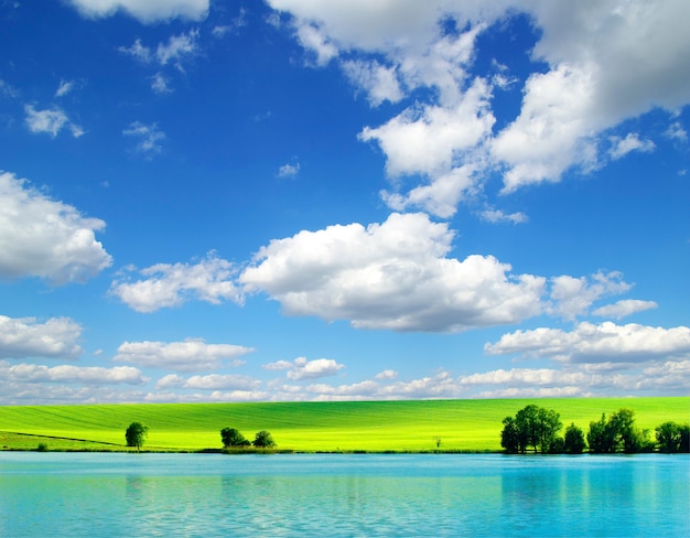 Campo y cielo nublado