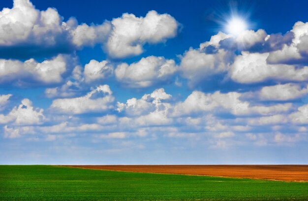 Foto campo y cielo