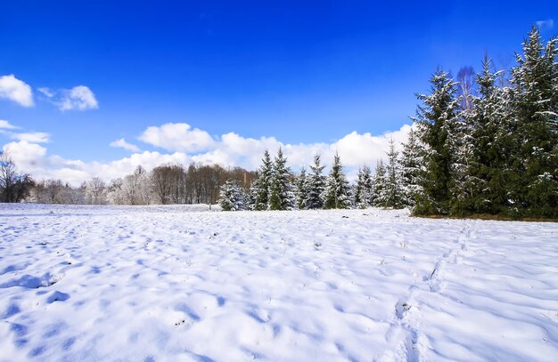 Foto campo coberto de neve contra o céu