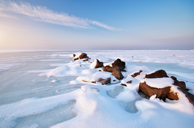 Campo coberto de neve e paisagem de gelo