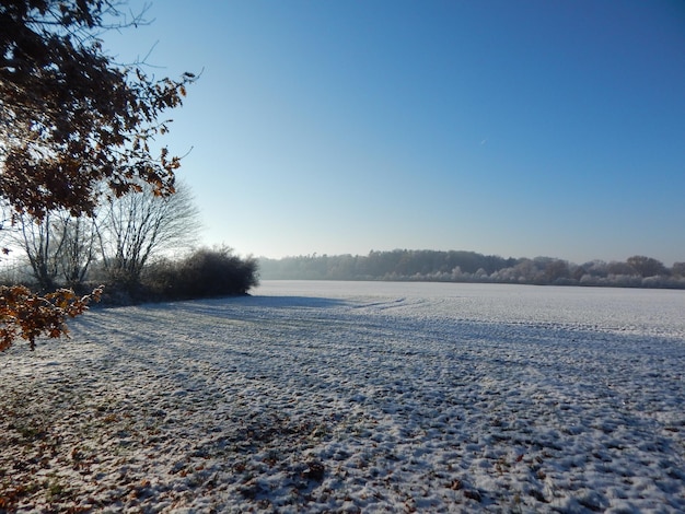 Campo coberto de neve