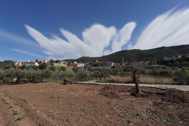 Un campo con una colina al fondo.