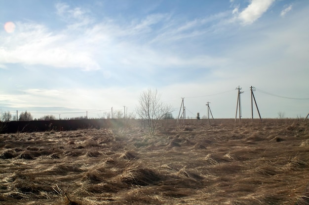 Campo com grama do ano passado no início da primavera